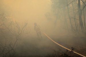 Fire Fighter in smoke forest