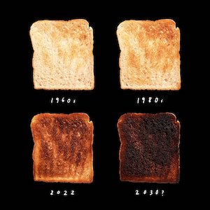 Pieces of toast