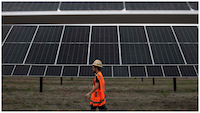 Solar farm and worker