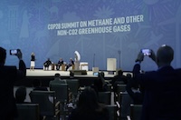 COP28 Stage