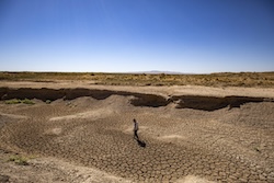 Man in Desert